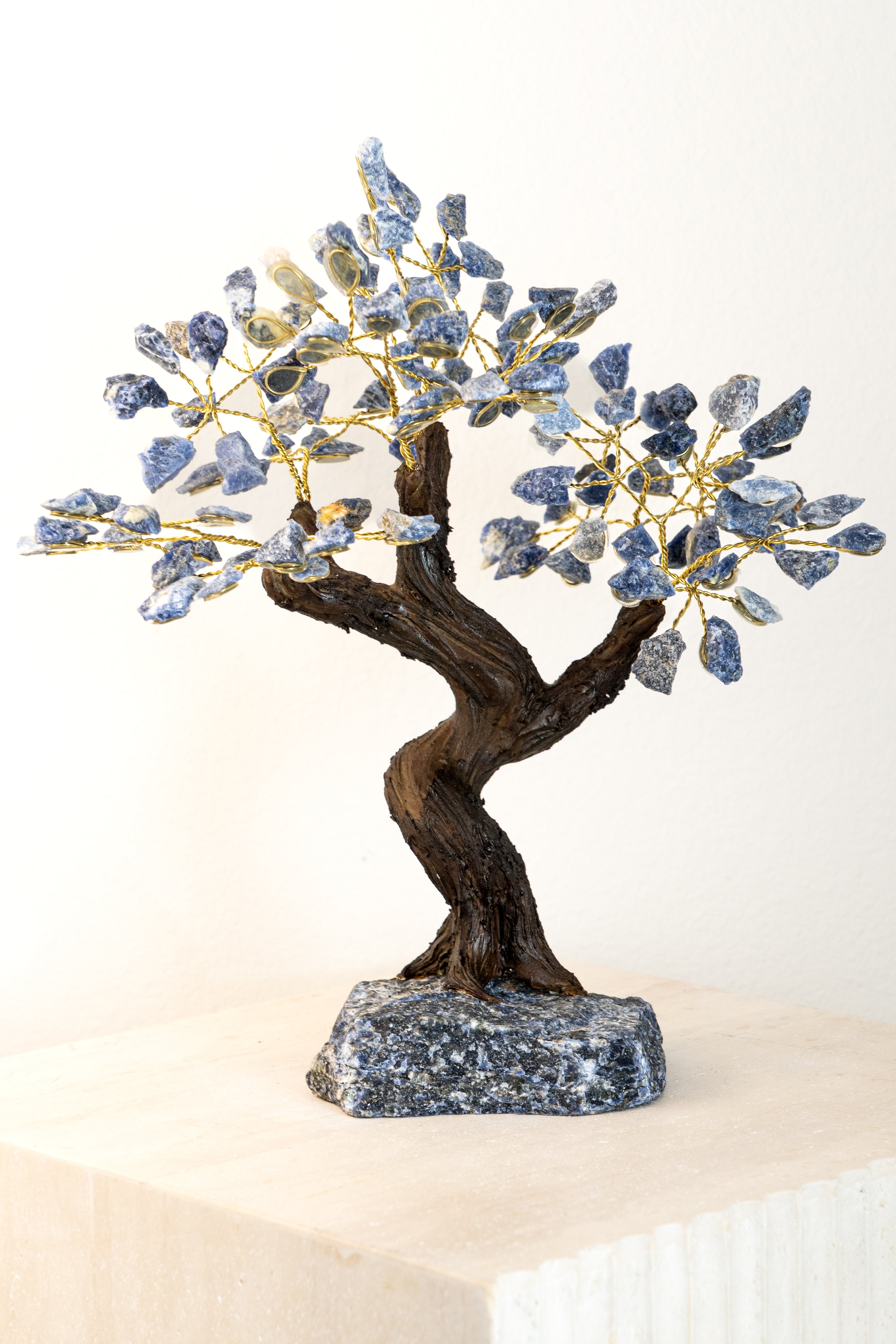 Awakening Wisdom Raw Sodalite Feng Shui Tree