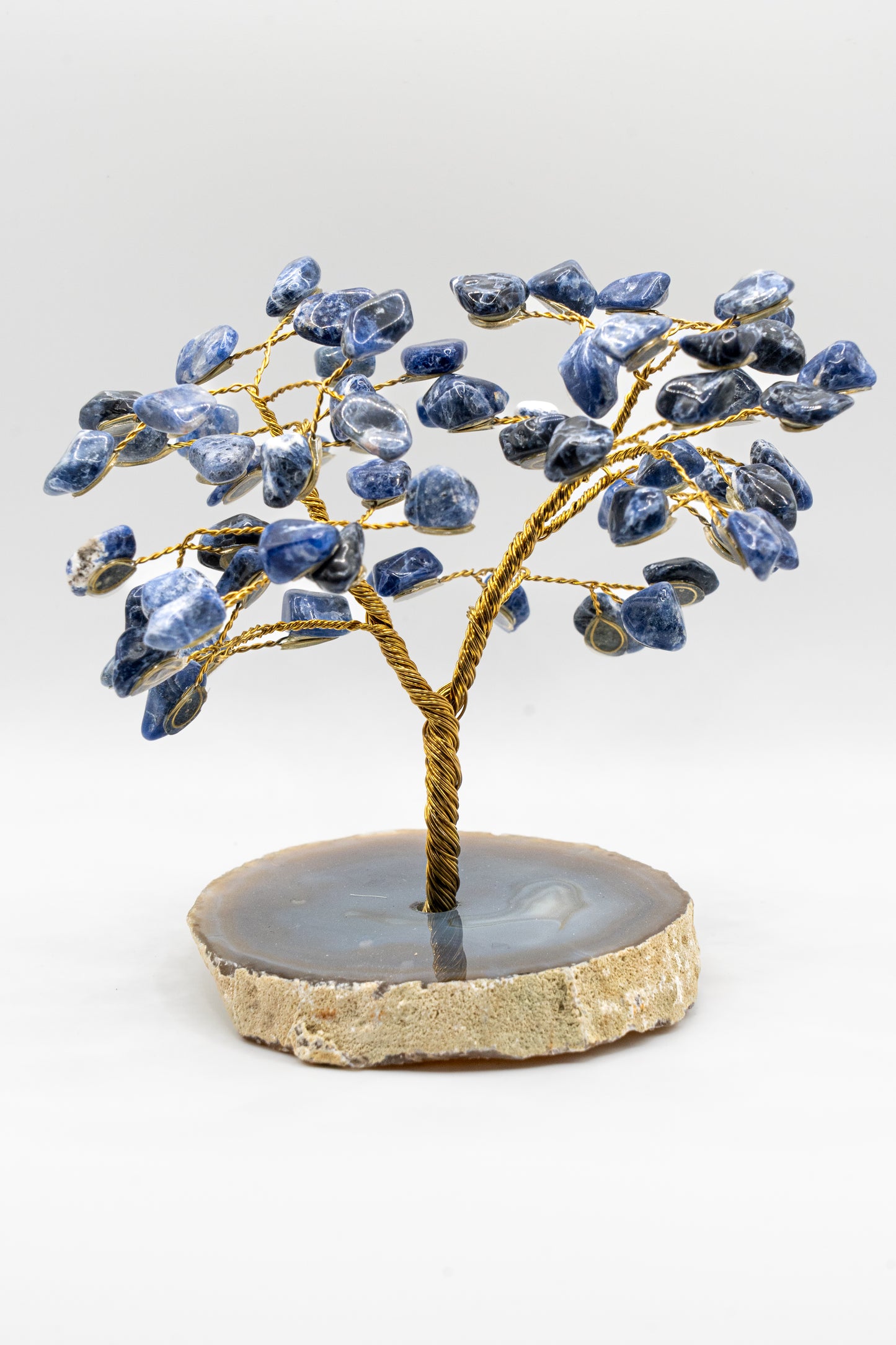 Wisdom Sodalite Feng Shui Tree