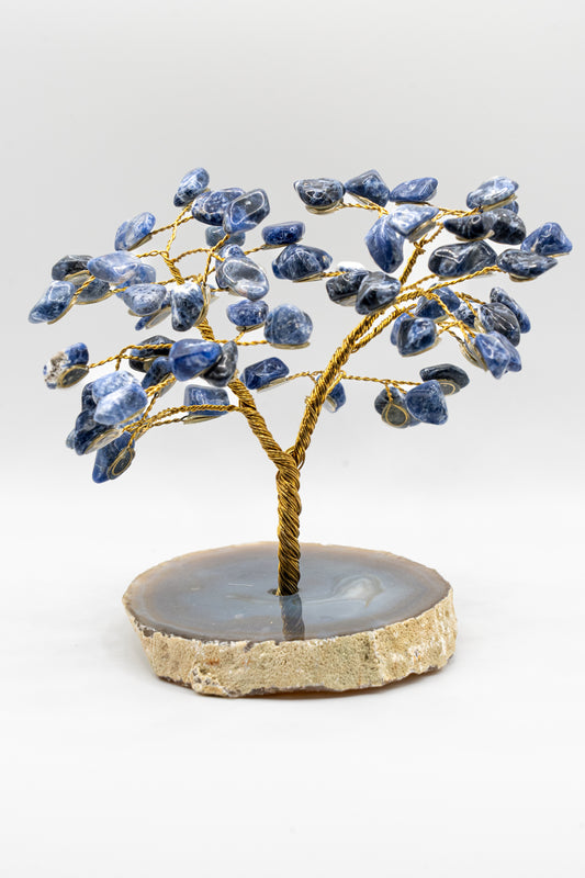 Wisdom Sodalite Feng Shui Tree